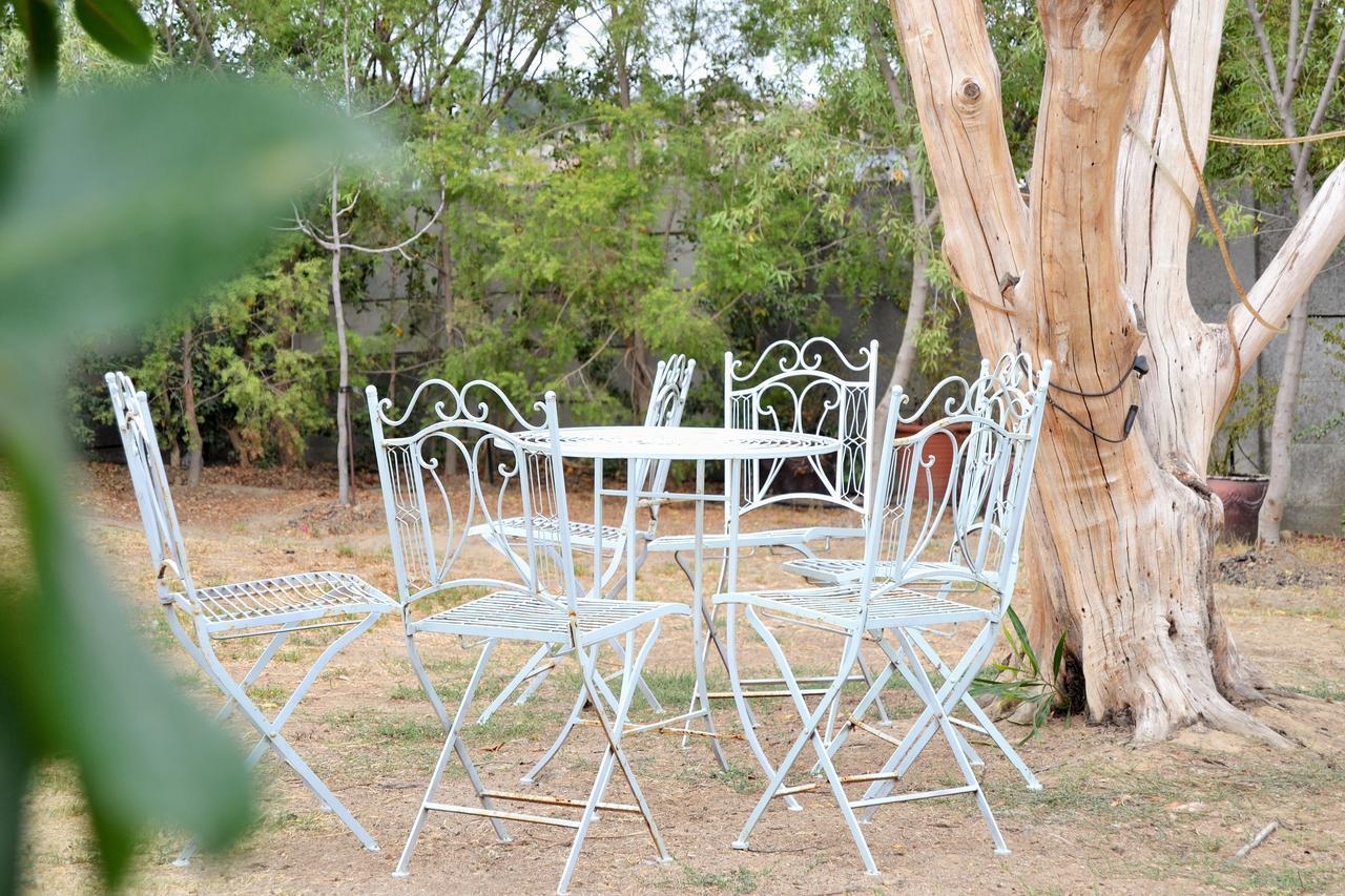 וולינגטון Versailles Self-Catering מראה חיצוני תמונה